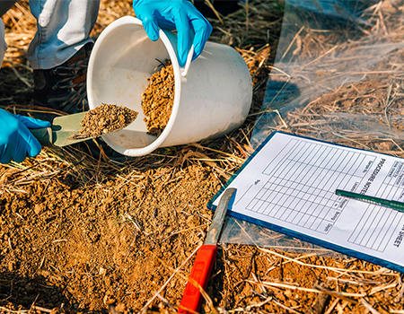 L’analyse du sol: Un outil incontournable de gestion de la fertilité des sols