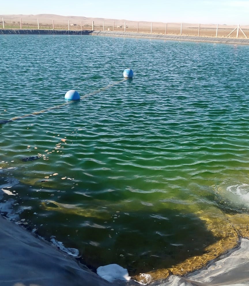 Bassin d'irrigation Marrakech - BCS LAB économie d'eau