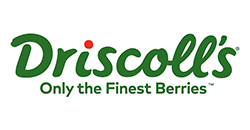 drisscoll