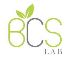 BCS LAB