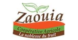 zaouia