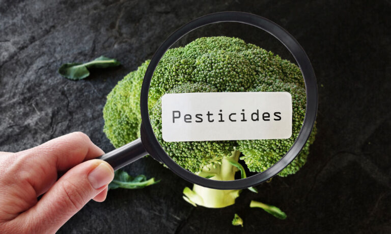 Cartes De Test Résidus De Pesticides - 20 Tests Par Boîte, Pour Légumes, Fruits, Sol, Usage Domestique Ou Professionnel