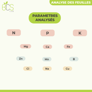 Param-Analyses3